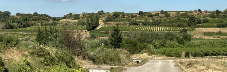 Lire la suite à propos de l’article Devenez l’aventurier d’un jour en mobylette à Castillon-du-Gard