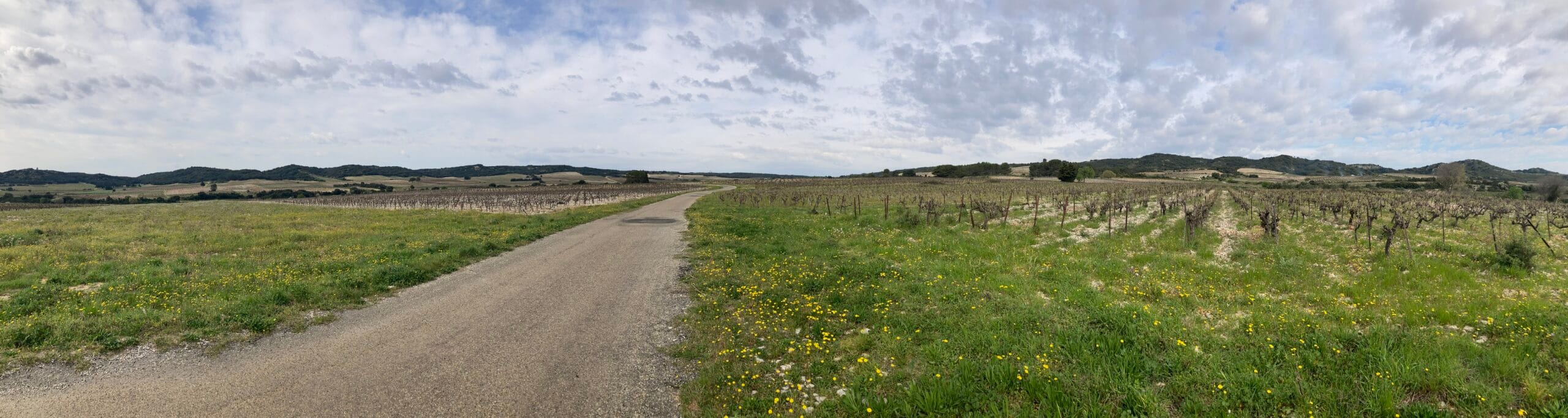 Lire la suite à propos de l’article 🏍️ Liberté et nostalgie en mobylette