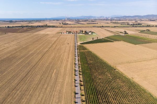 Pour découvrir le Gard d'une manière originale pensez à la mobylette